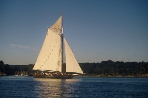 Sloop sailing on the horizon.