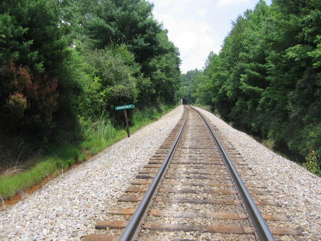 (Photo by M. Bigger)