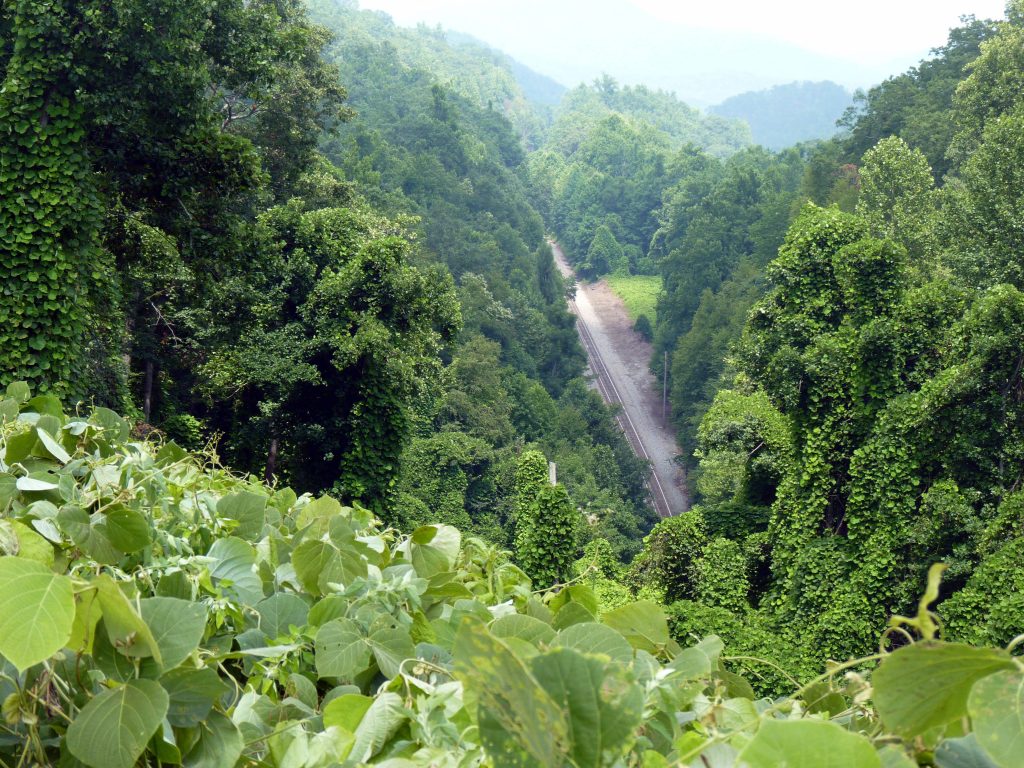 View of the eastern approach to the tunnel (photo by Ken Bigger)