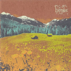 SOR_Hannalee_Morchella