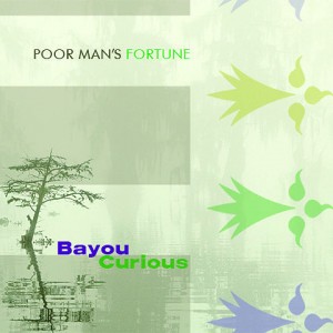 Poor Mans Fortune: Bayou Curious
