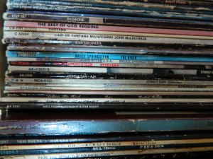 Photo by Cindy Hunter Morgan