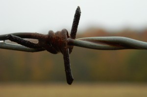 Photo by Cindy Hunter Morgan