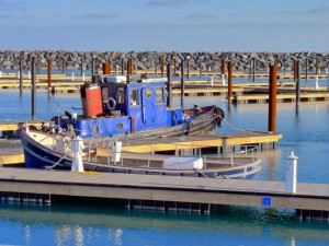 The Commissioner, Lake Michigan. Photo by K. Bigger