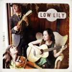 Low Lily's Low Lily
