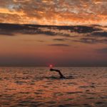 (photo credit: David Travis)