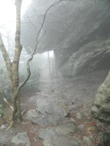 Photo by Cindy Hunter Morgan